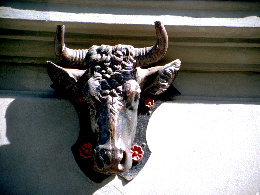Rue-116