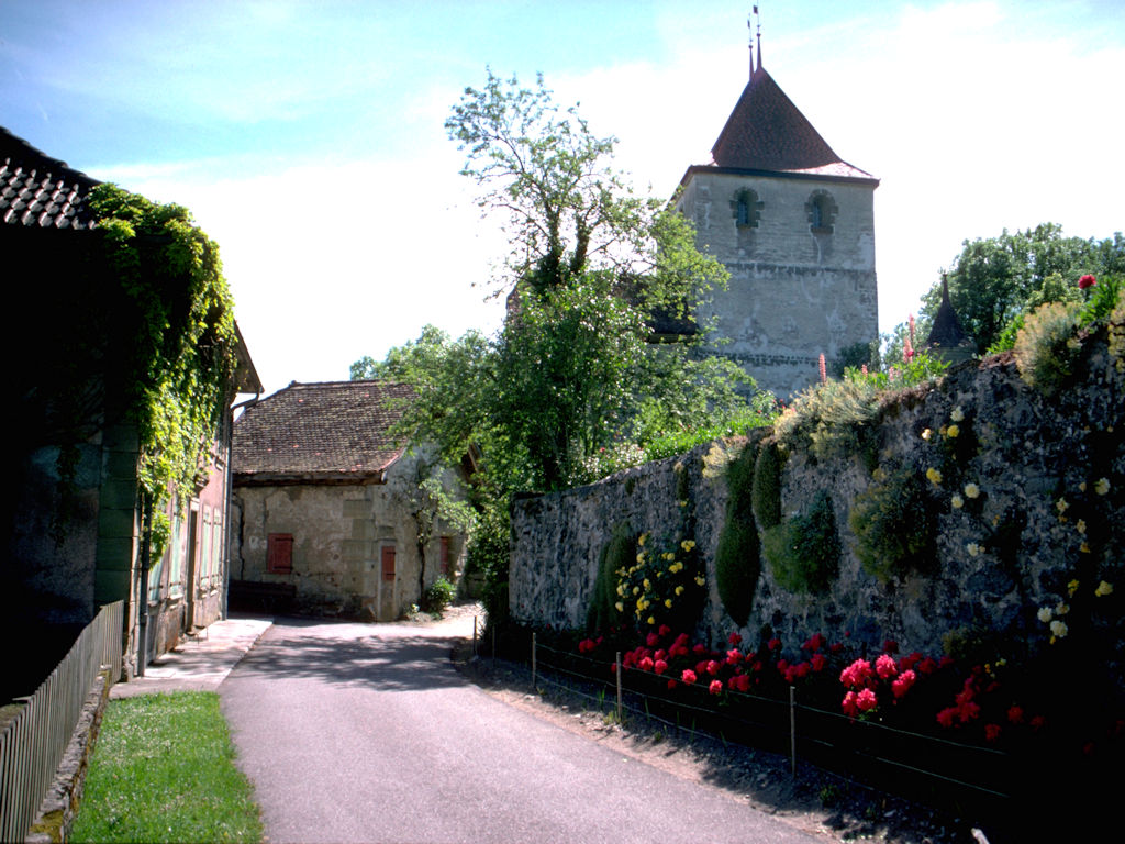 Rue-141