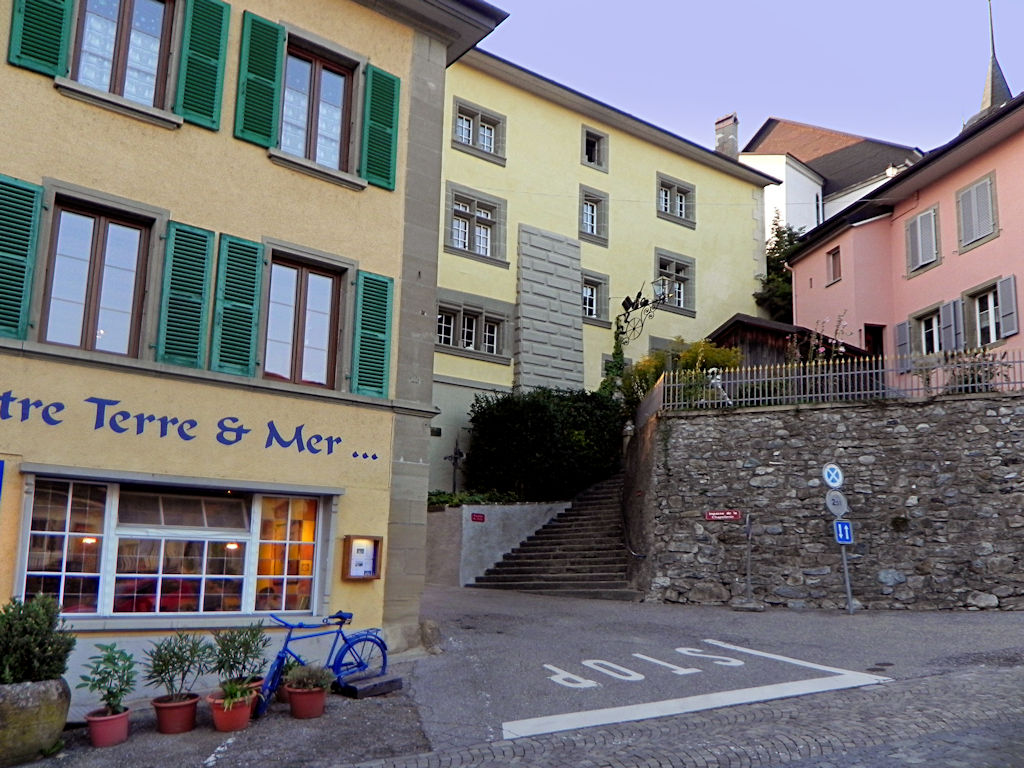 Rue-2