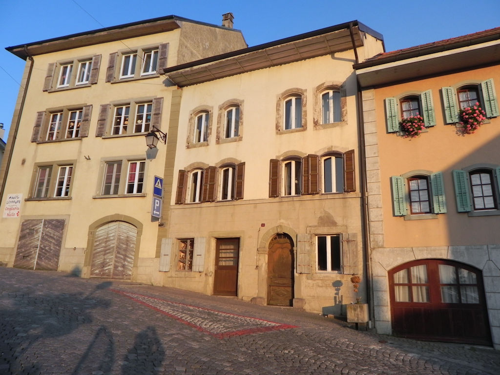 Rue-4