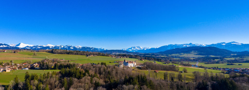 2019-03-17 - Thierry Flückiger 1